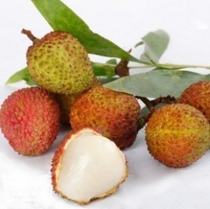 �Ļ��f�R�@��֦