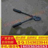 �F·���� ���w���҉����Q �S��ֱ�N���r�񌍻�