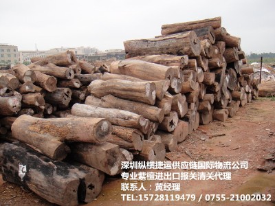 ӡ��ľ���M�ڈ��P���m/ӡ��ľ���M�ڈ��P�r��