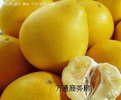 �Ϻ�ˮ���M�ڈ��P