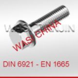 �������Ƿ��m��˨DIN6921