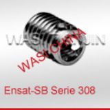 Ensat-SB serie 308���M������