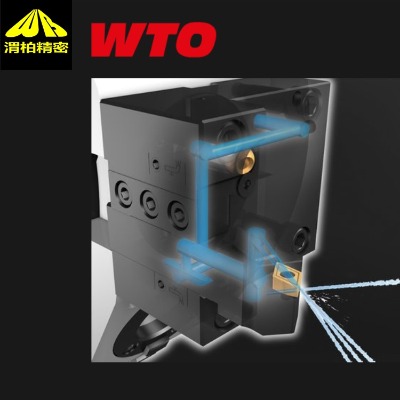 ����WTO��Q�����Ŀ�Q���ܴ��s���˵��߸��Q�r(sh��)�g