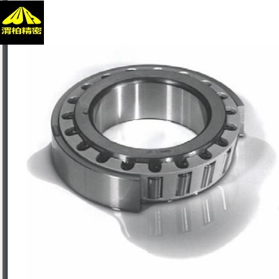 Ӣ���w����GAMET�ǽ��|�S���И�(bi��o)��(zh��n)�ߴ�ͷǘ�(bi��o)��(zh��n)�ߴ�