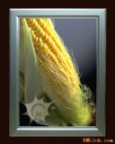 ��������ˮ������LED��������