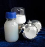 �������ϼ{�����������X