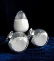 ���������z���ό���{�������X