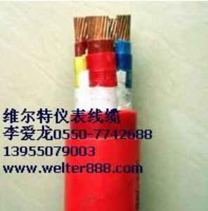 ����YGCB��YGC�����z��|