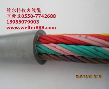 ���������| �S������|