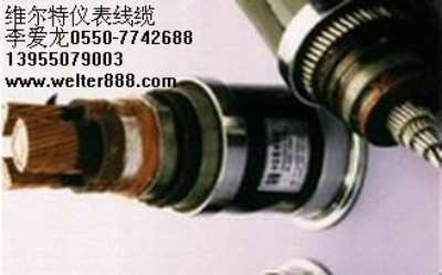 ����BP-YJVP׃�l��|