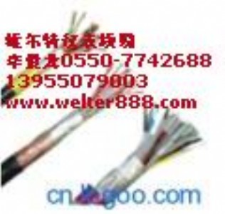 ����PVV��̖��|