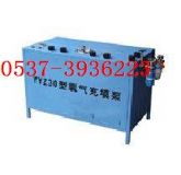 YYZ-30����������(�D)