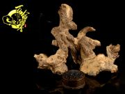 ����̓r���l�r������|����̓r���l