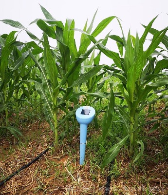 rn-pgr ��ʽ����O�y�x