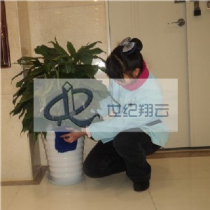 �h���I������������̡�22�ꌣ�I������ϴ����Ʒ��