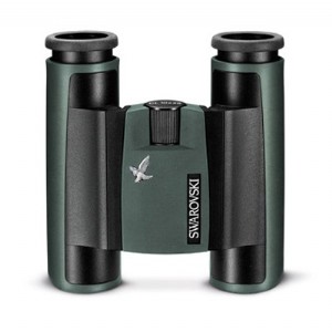 �������h�Rʩ�A������clpocket8x25�r��DƬ