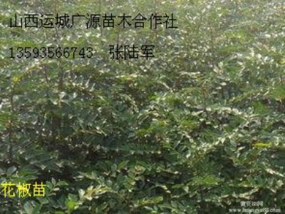 �������t�۪{���^��������