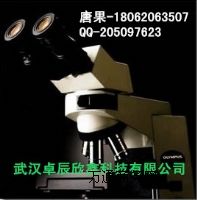 �W�ְ�˹CX41�@΢�R