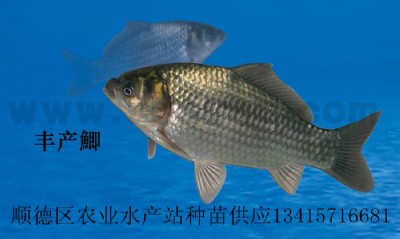 �S�a�aˮ��