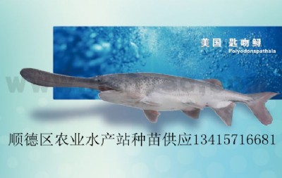 �����~�硢�����\��