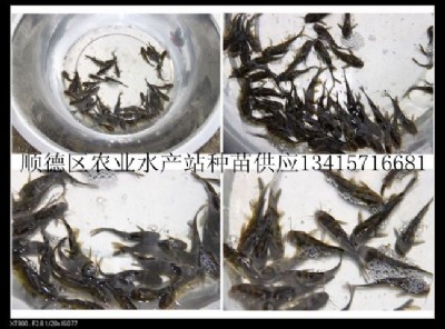 ��ϵȫ���SѾ�^�~��