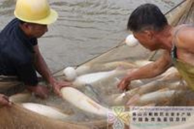 혵½���~��