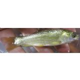 �����~�~