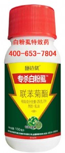 ����׷�ʭ��Чˎ �����߲˰׷�ʭ��ô����