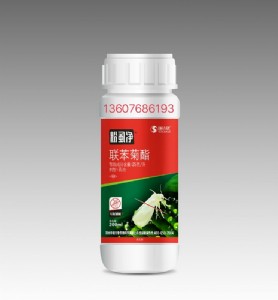 �׷�ʭ��Ч���x��