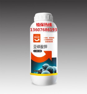 ����(y��ng)�ߝ�s������⛸ߺ�����⛷ʝ�������������