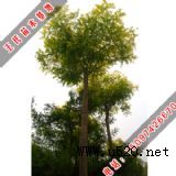 ���F���~��(�D)