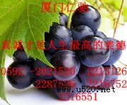 ��VC�c���Ә˜� ��VC�c�|����������