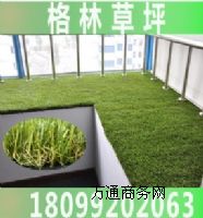 ��������G���˹���ƺ ����ݸ���G006