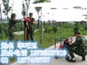 ��Ѵ����������yʽֲ���CX���Û]������yʽֲ���C�r��򘶙C