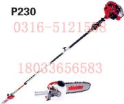 �´��Ap-230p-231��֦���