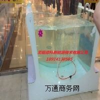 �������͋냺��Ӿ��䓻�����������͸����