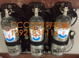 GA124-2004��(bi��o)��(zh��n)CCCF�����՚������