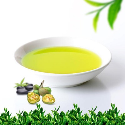 ����Ԫ��֭ ��ʳ�w�S�A�Դ��ͷ� �������~��֭oem���l���ӹ�