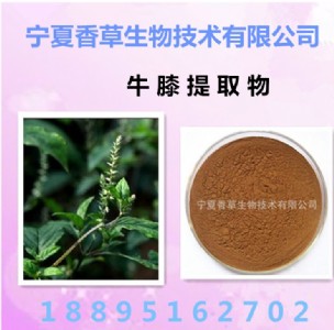 ţϥ��ȡ���s�ۡ����ܷۡ�ţϥ���ǡ����ۡ����