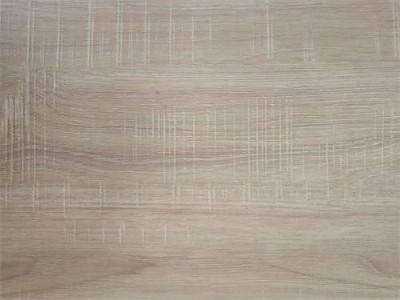 �F�����w���� ����ģ�� �N�� ͩľ���B��S�� ɽ�|ȫ�ݶ��ƏS