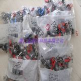 ӯ�ΰl������Ʒԭ�bAIGNEP���y