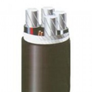 �����|���͟��o�u0.6/1KV��о�X�Ͻ������|