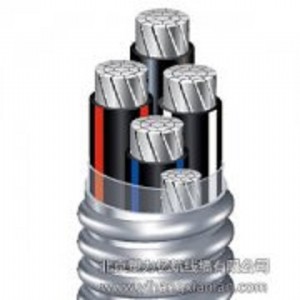 �����|���͟��o�u0.6/1KV ��о�X�Ͻ��z�b��|