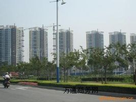 ��ɽ��˹̩����ֻ���������a(ch��n)ÿһͰ��ƺ��