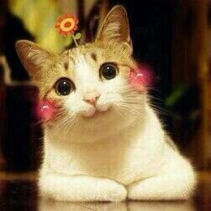 �����_��˾�M���Ƕ����X