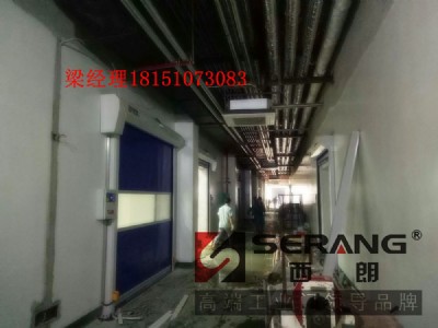 �B�d������朾����T�r��