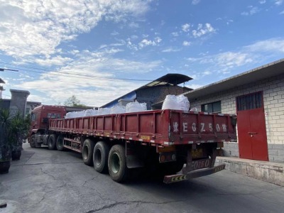 �x�V���I�ؽ��|���F�ۏU�X���x