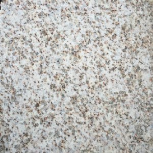 ֥��һ����