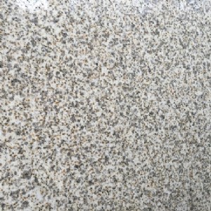 ֥��һ����r�r��