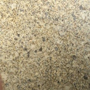 �S�Pʯ��֦�滨���r